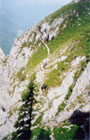 Piatra Crauilui