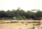 14. P�evoz p�es �eku  -  vstup do parku Taman Negara