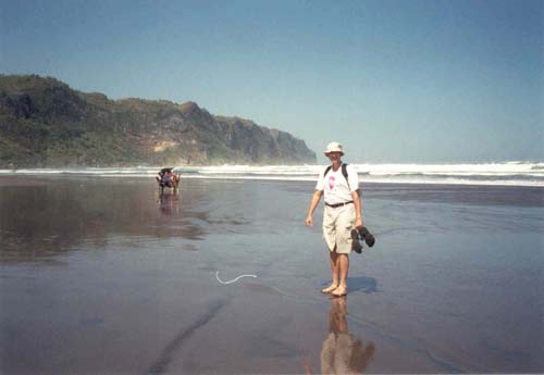 62. Parangritis