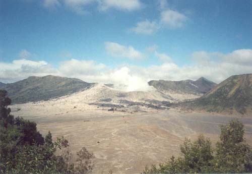 75. Bromo z d�lky