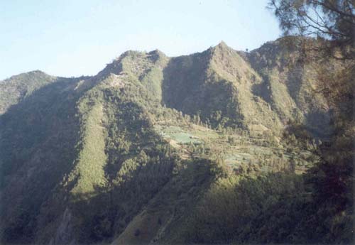 82. sam� kyti�ka