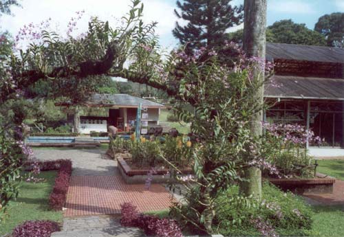 92. Taman Mini Indonesia � orchideov� zahrada