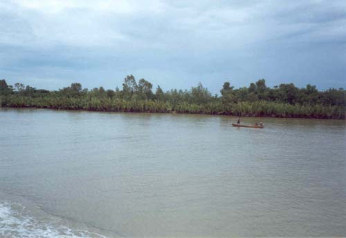 112. Ryb�� u Surat Thani