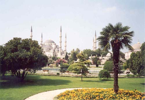 158. Hagie Sofia